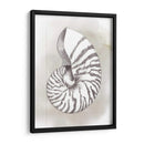 Diagrama De Shell Iii - Grace Popp | Cuadro decorativo de Canvas Lab