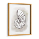 Diagrama De Shell Iii - Grace Popp | Cuadro decorativo de Canvas Lab