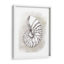 Diagrama De Shell Iii - Grace Popp | Cuadro decorativo de Canvas Lab