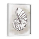 Diagrama De Shell Iii - Grace Popp | Cuadro decorativo de Canvas Lab