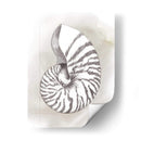 Diagrama De Shell Iii - Grace Popp | Cuadro decorativo de Canvas Lab