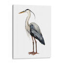 Aves Marino I - Grace Popp | Cuadro decorativo de Canvas Lab