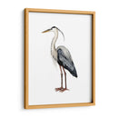 Aves Marino I - Grace Popp | Cuadro decorativo de Canvas Lab