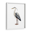 Aves Marino I - Grace Popp | Cuadro decorativo de Canvas Lab