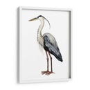 Aves Marino I - Grace Popp | Cuadro decorativo de Canvas Lab