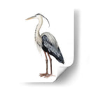 Aves Marino I - Grace Popp | Cuadro decorativo de Canvas Lab