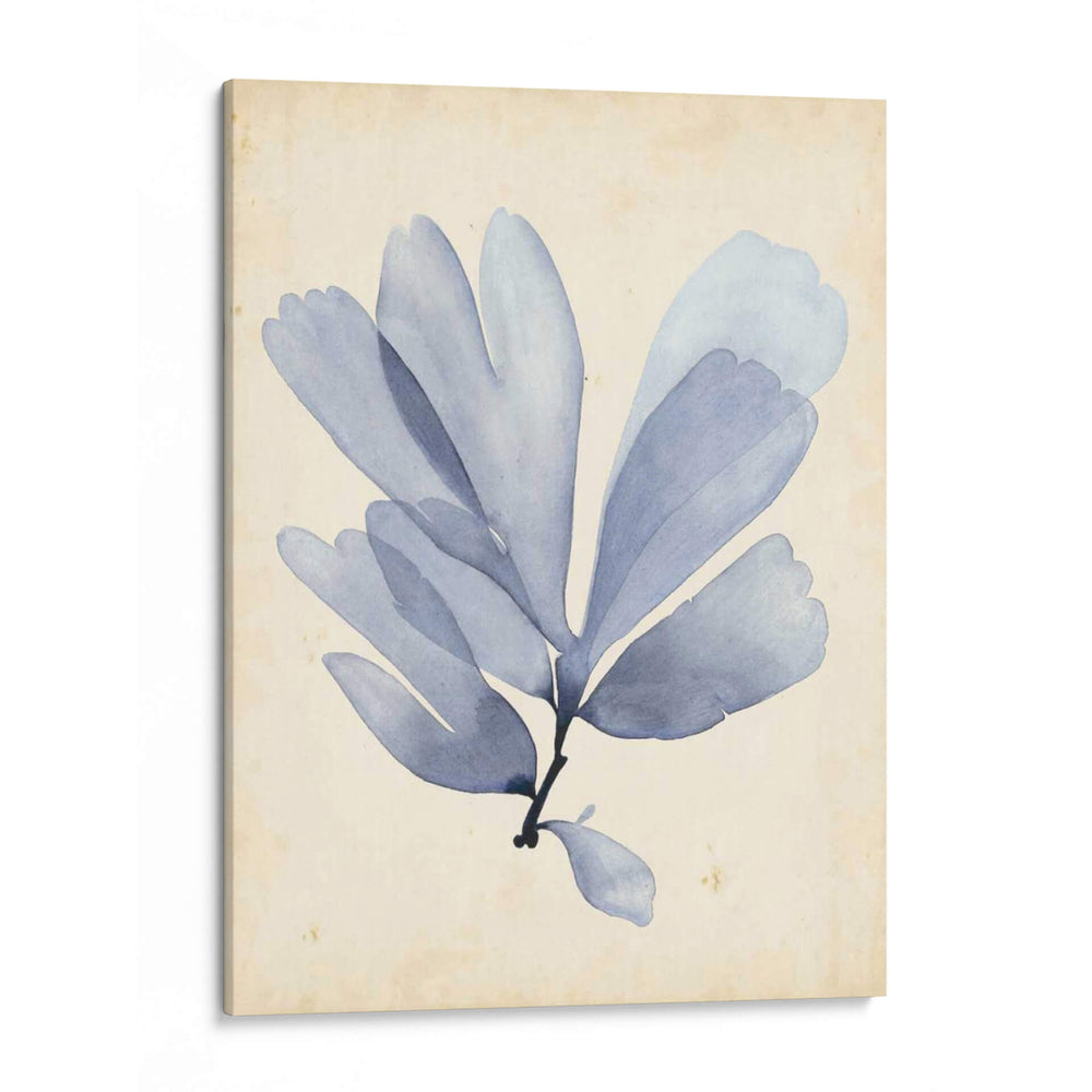 Acuarela Mar Hierba Ii - Grace Popp | Cuadro decorativo de Canvas Lab