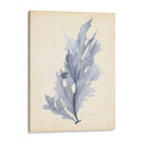 Acuarela Mar Hierba Vi - Grace Popp | Cuadro decorativo de Canvas Lab