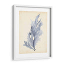 Acuarela Mar Hierba Vi - Grace Popp | Cuadro decorativo de Canvas Lab