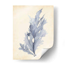 Acuarela Mar Hierba Vi - Grace Popp | Cuadro decorativo de Canvas Lab