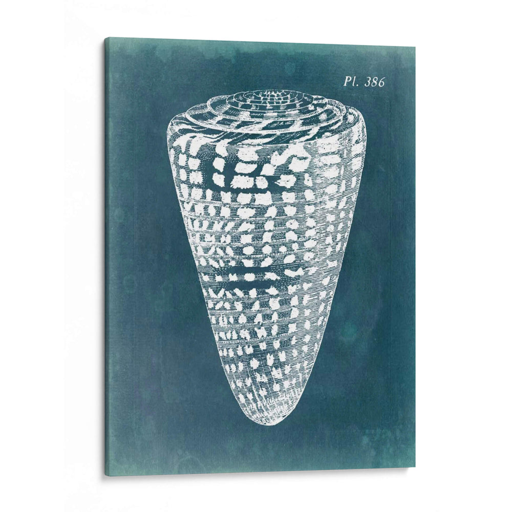 Azure Shell I - Vision Studio | Cuadro decorativo de Canvas Lab