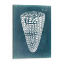 Azure Shell I - Vision Studio | Cuadro decorativo de Canvas Lab