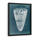 Azure Shell I - Vision Studio | Cuadro decorativo de Canvas Lab