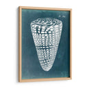 Azure Shell I - Vision Studio | Cuadro decorativo de Canvas Lab