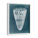 Azure Shell I - Vision Studio | Cuadro decorativo de Canvas Lab