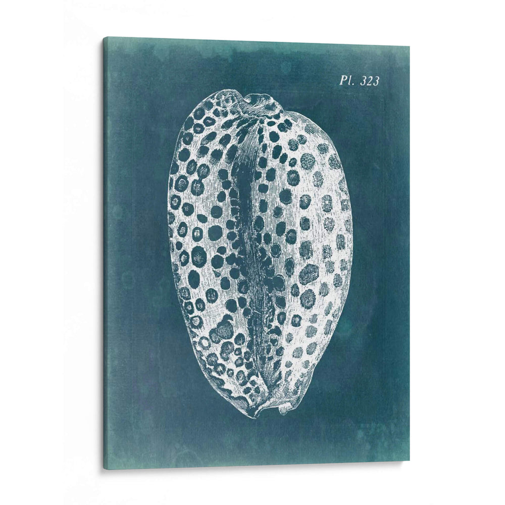 Azure Shell Ii - Vision Studio | Cuadro decorativo de Canvas Lab
