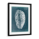 Azure Shell Ii - Vision Studio | Cuadro decorativo de Canvas Lab