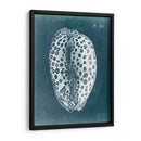 Azure Shell Ii - Vision Studio | Cuadro decorativo de Canvas Lab