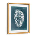 Azure Shell Ii - Vision Studio | Cuadro decorativo de Canvas Lab