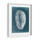 Azure Shell Ii - Vision Studio | Cuadro decorativo de Canvas Lab