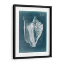 Azure Shell Iii - Vision Studio | Cuadro decorativo de Canvas Lab