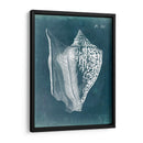 Azure Shell Iii - Vision Studio | Cuadro decorativo de Canvas Lab