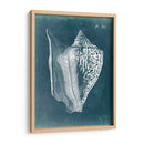 Azure Shell Iii - Vision Studio | Cuadro decorativo de Canvas Lab