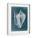 Azure Shell Iii - Vision Studio | Cuadro decorativo de Canvas Lab