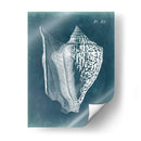 Azure Shell Iii - Vision Studio | Cuadro decorativo de Canvas Lab