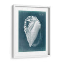 Azure Shell Iv - Vision Studio | Cuadro decorativo de Canvas Lab