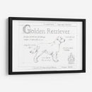 Blueprint Personalizado Golden Retriever - Ethan Harper | Cuadro decorativo de Canvas Lab