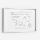 Blueprint Personalizado Golden Retriever - Ethan Harper | Cuadro decorativo de Canvas Lab