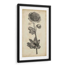 Belleza Singular I - Vision Studio | Cuadro decorativo de Canvas Lab