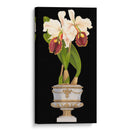 Orquídeas En Silver I - Vision Studio | Cuadro decorativo de Canvas Lab