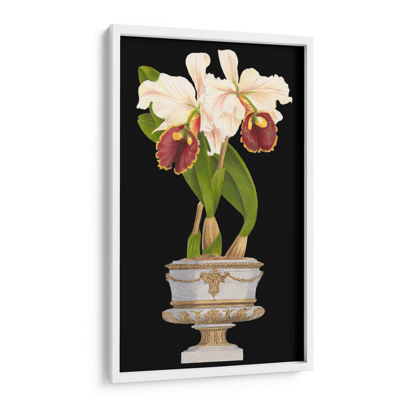 Orquídeas En Silver I - Vision Studio | Cuadro decorativo de Canvas Lab