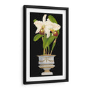 Orquídeas En Silver Ii - Vision Studio | Cuadro decorativo de Canvas Lab