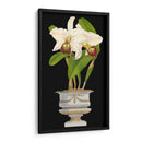 Orquídeas En Silver Ii - Vision Studio | Cuadro decorativo de Canvas Lab