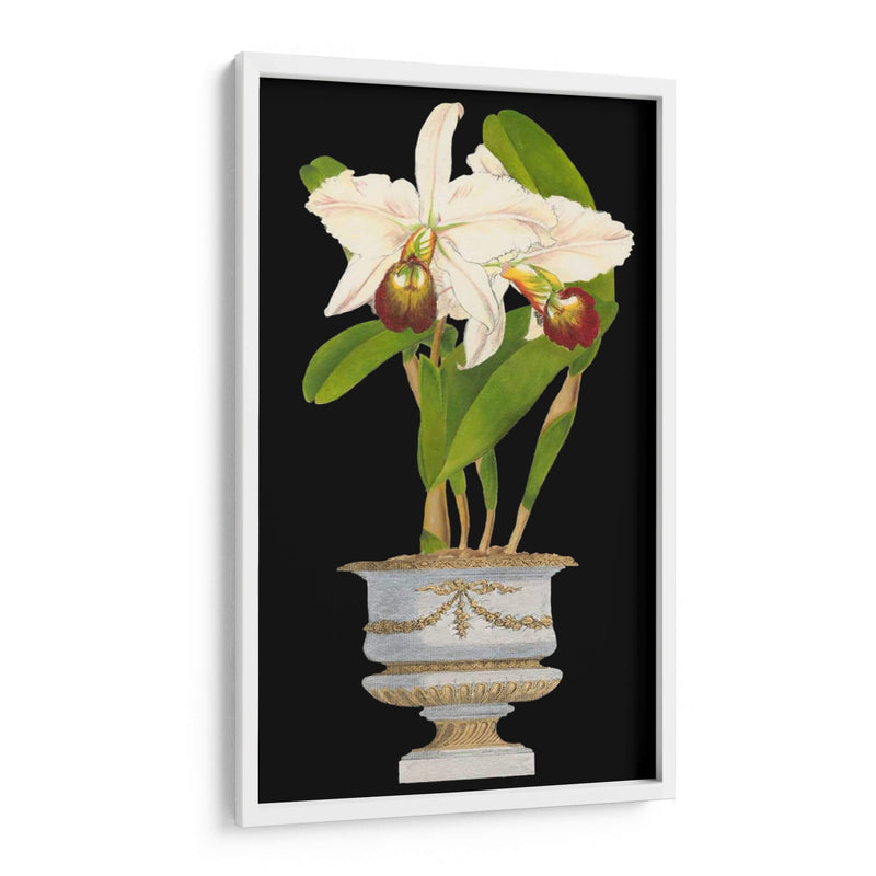 Orquídeas En Silver Ii - Vision Studio | Cuadro decorativo de Canvas Lab