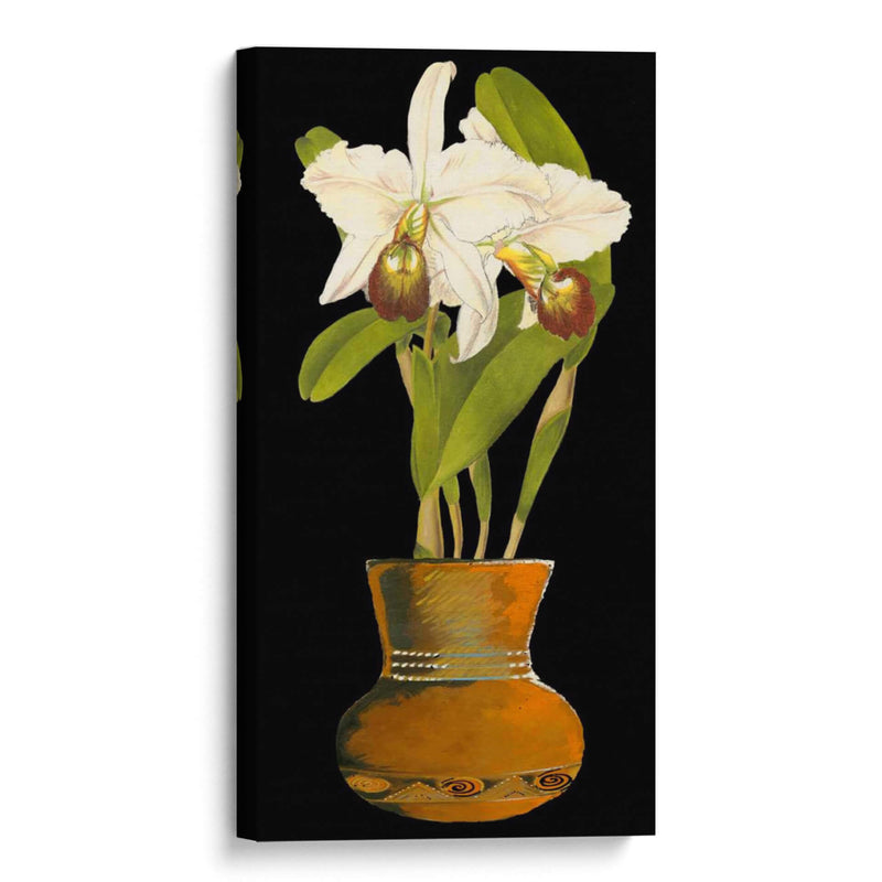 Orquídeas En La Olla I | Cuadro decorativo de Canvas Lab