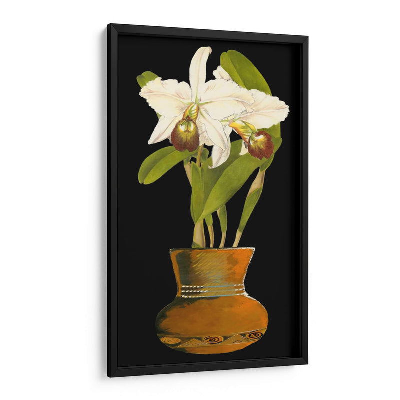 Orquídeas En La Olla I | Cuadro decorativo de Canvas Lab