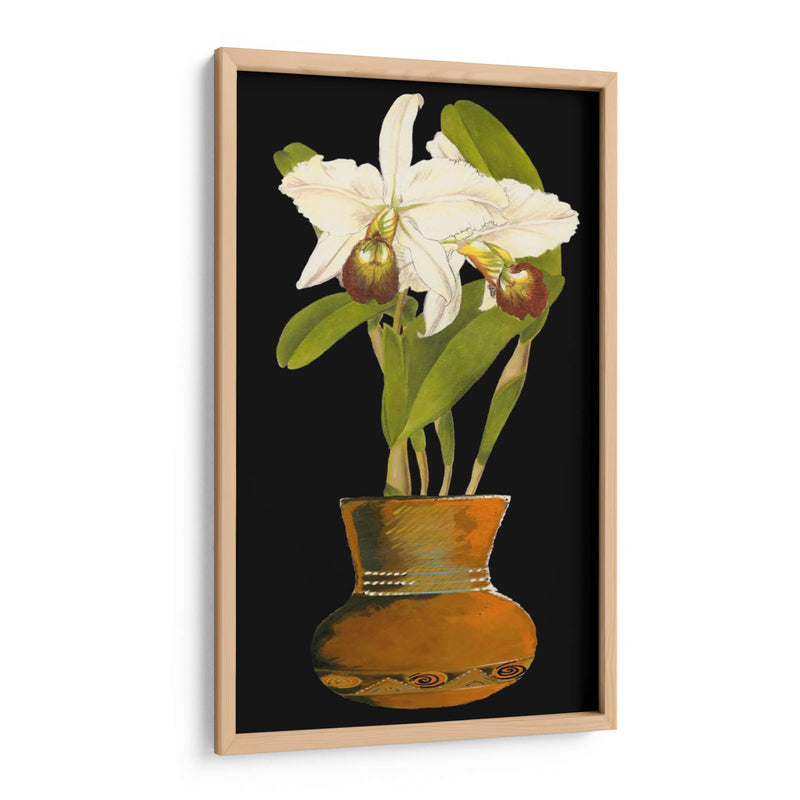 Orquídeas En La Olla I | Cuadro decorativo de Canvas Lab