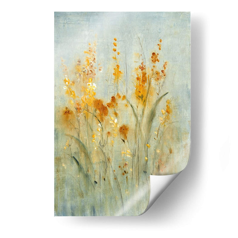 Spray Of Wildflowers Ii - Tim OToole | Cuadro decorativo de Canvas Lab