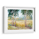 Prado Luminoso Ii - Tim OToole | Cuadro decorativo de Canvas Lab