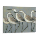 Pájaros En Tierra I - Norman Wyatt Jr. | Cuadro decorativo de Canvas Lab