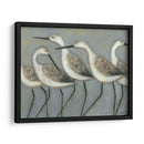 Pájaros En Tierra I - Norman Wyatt Jr. | Cuadro decorativo de Canvas Lab