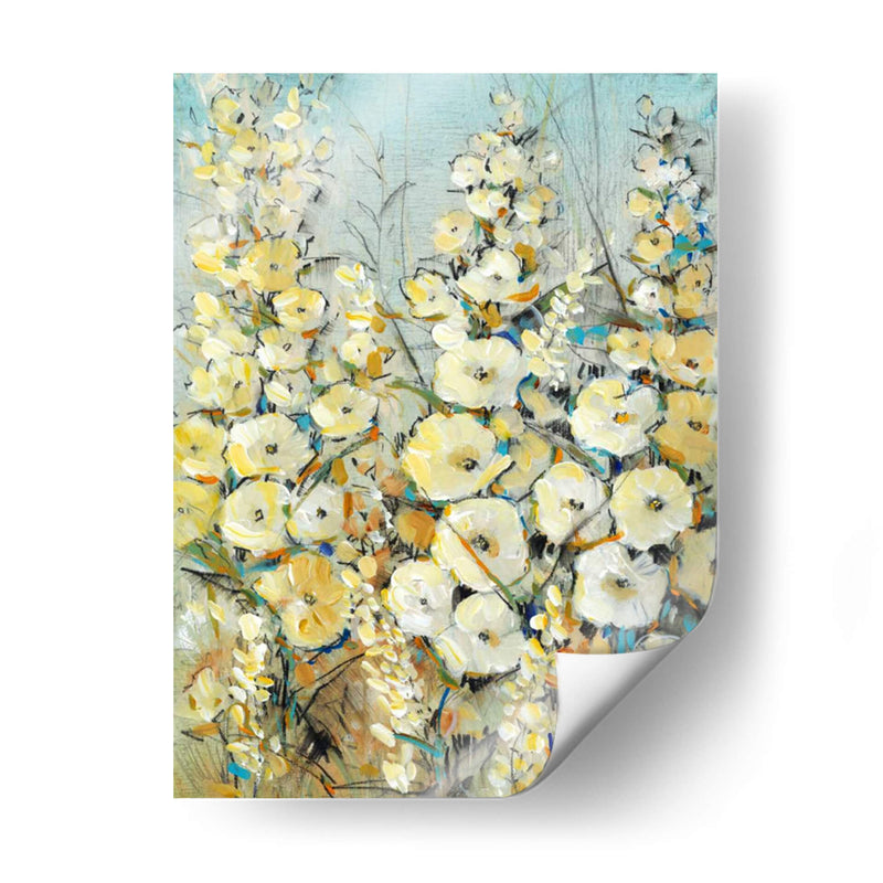 Grupo De Hollyhock I - Tim OToole | Cuadro decorativo de Canvas Lab