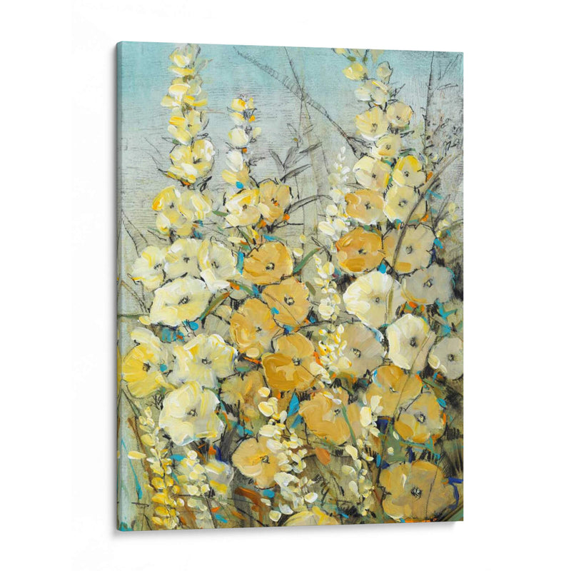 Cluster Of Hollyhock Ii - Tim OToole | Cuadro decorativo de Canvas Lab