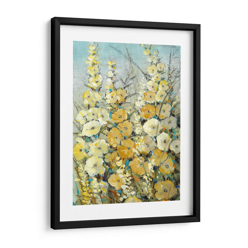 Cluster Of Hollyhock Ii - Tim OToole | Cuadro decorativo de Canvas Lab