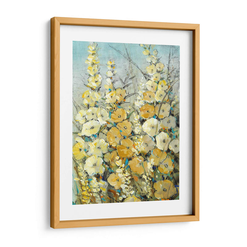 Cluster Of Hollyhock Ii - Tim OToole | Cuadro decorativo de Canvas Lab