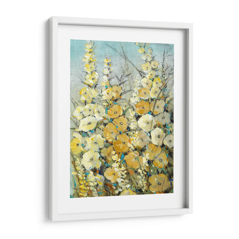 Cluster Of Hollyhock Ii - Tim OToole | Cuadro decorativo de Canvas Lab